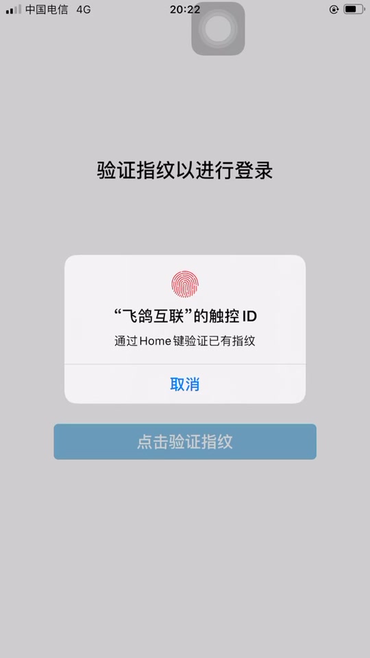 飞鸽互联下载地址