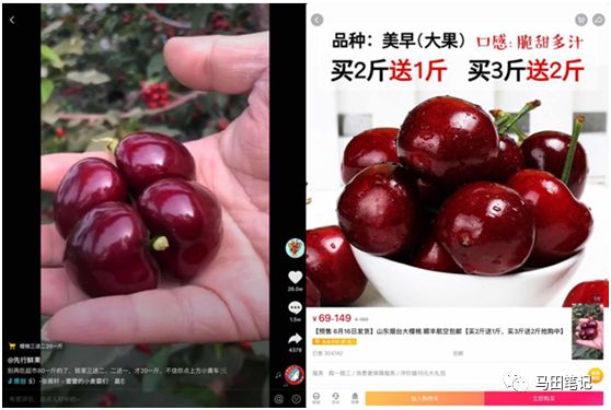 樱桃视频下载安装(樱桃视频下载软件与安装)