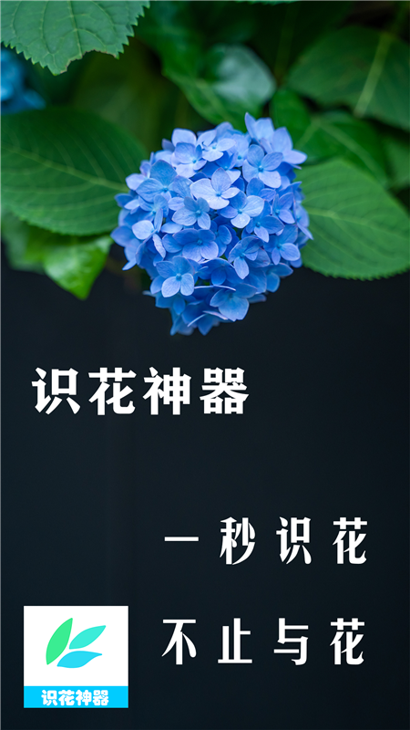 中华神器下载地址(中华神器200免费地址)