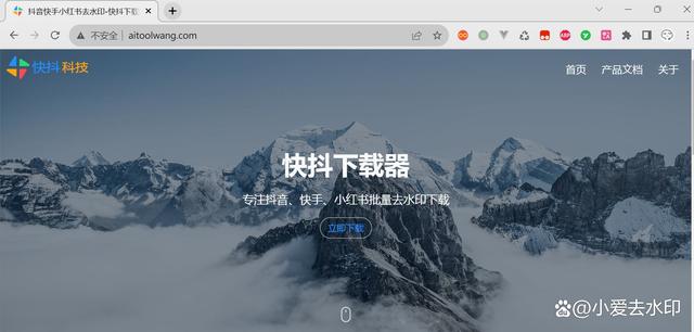 快手视频在线下载(快手视频在线下载软件)
