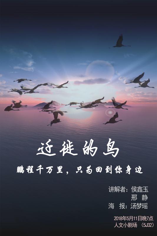 电影鸟下载地址(鸟人2014电影下载)