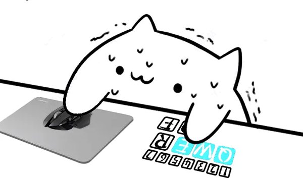 猫咪软件下载地址链接