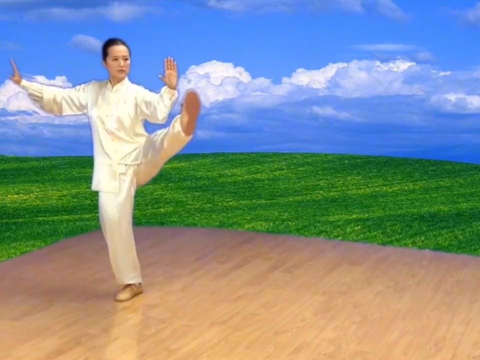 太极拳24式视频下载(太极拳24式视频下载完整版)