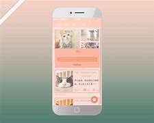 猫咪app下载地址
