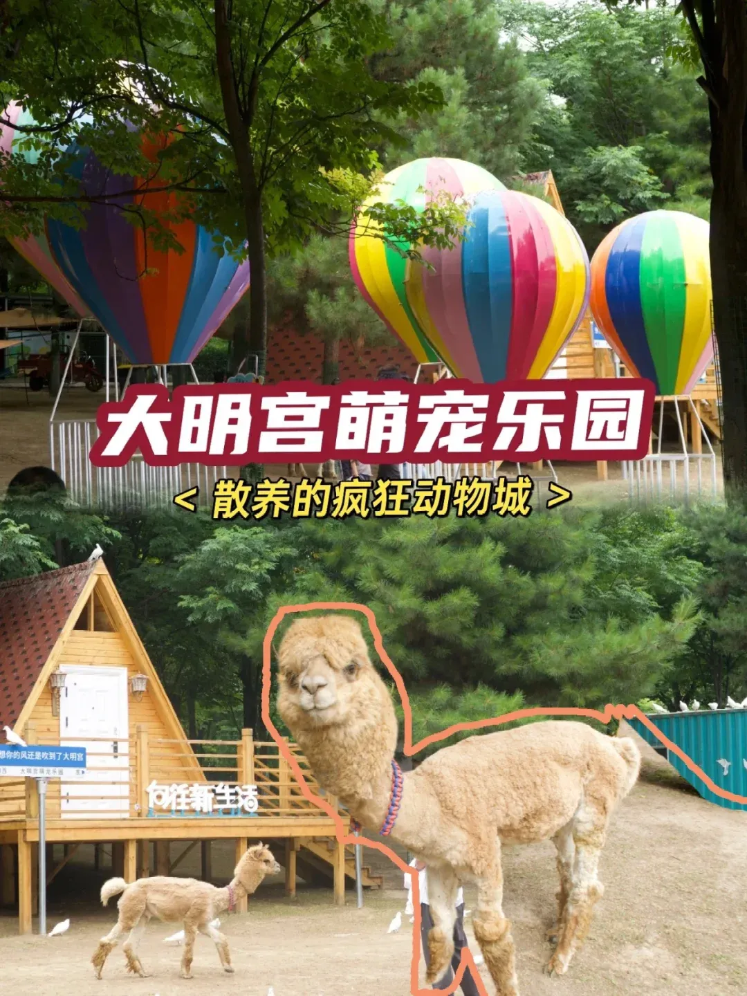 疯狂动物城下载地址