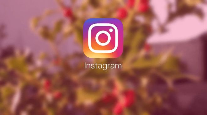 instagram官方下载(instagram官方下载instagram安卓版)