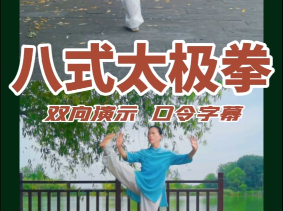太极拳视频教学下载