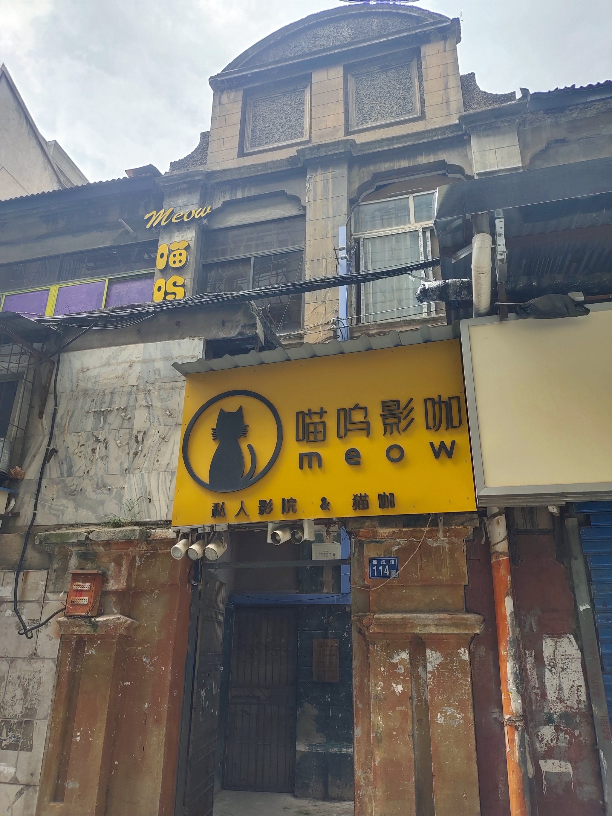猫咪看片软件下载地址(猫咪看片软件下载地址在哪)