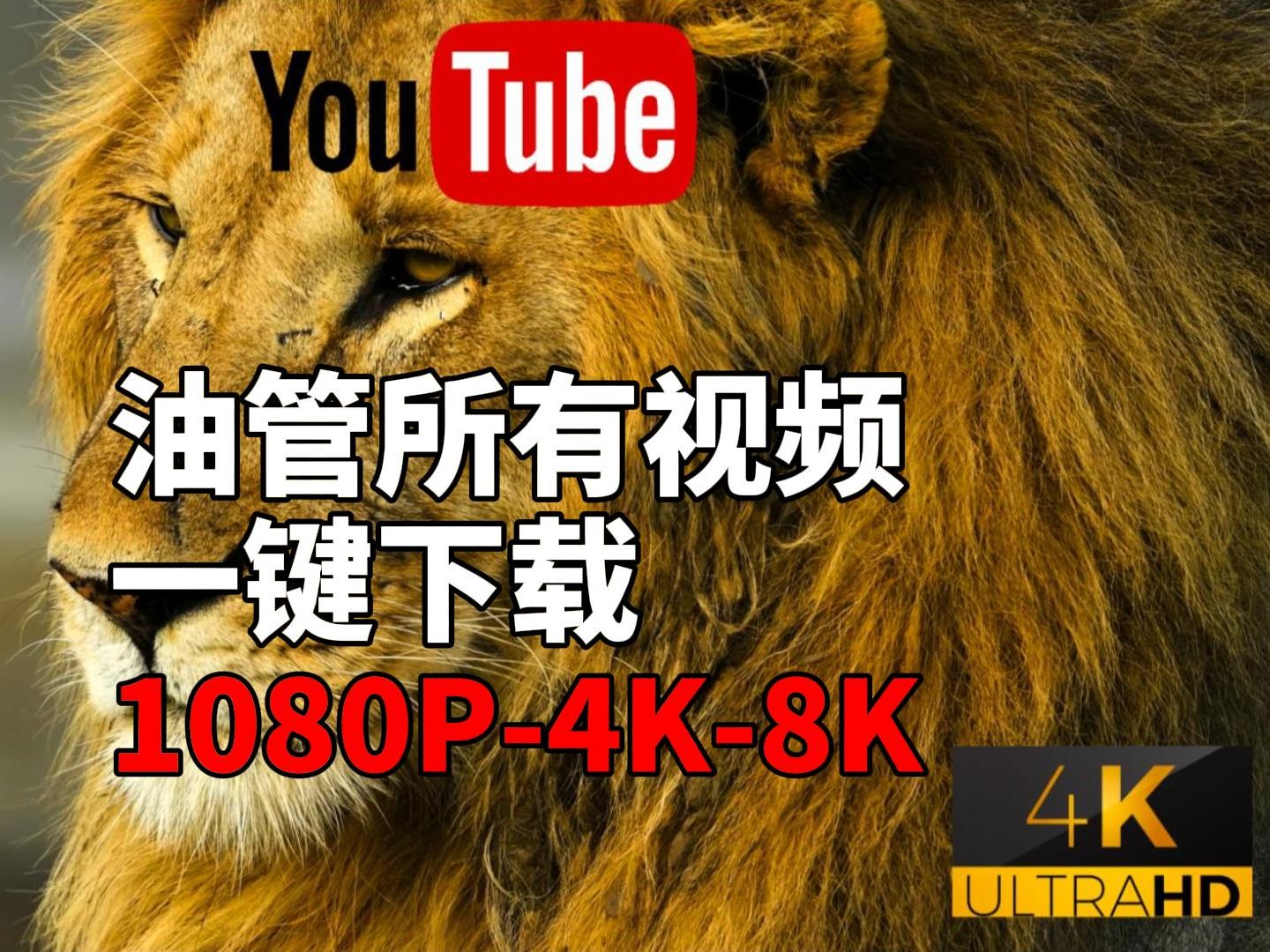 油管app下载