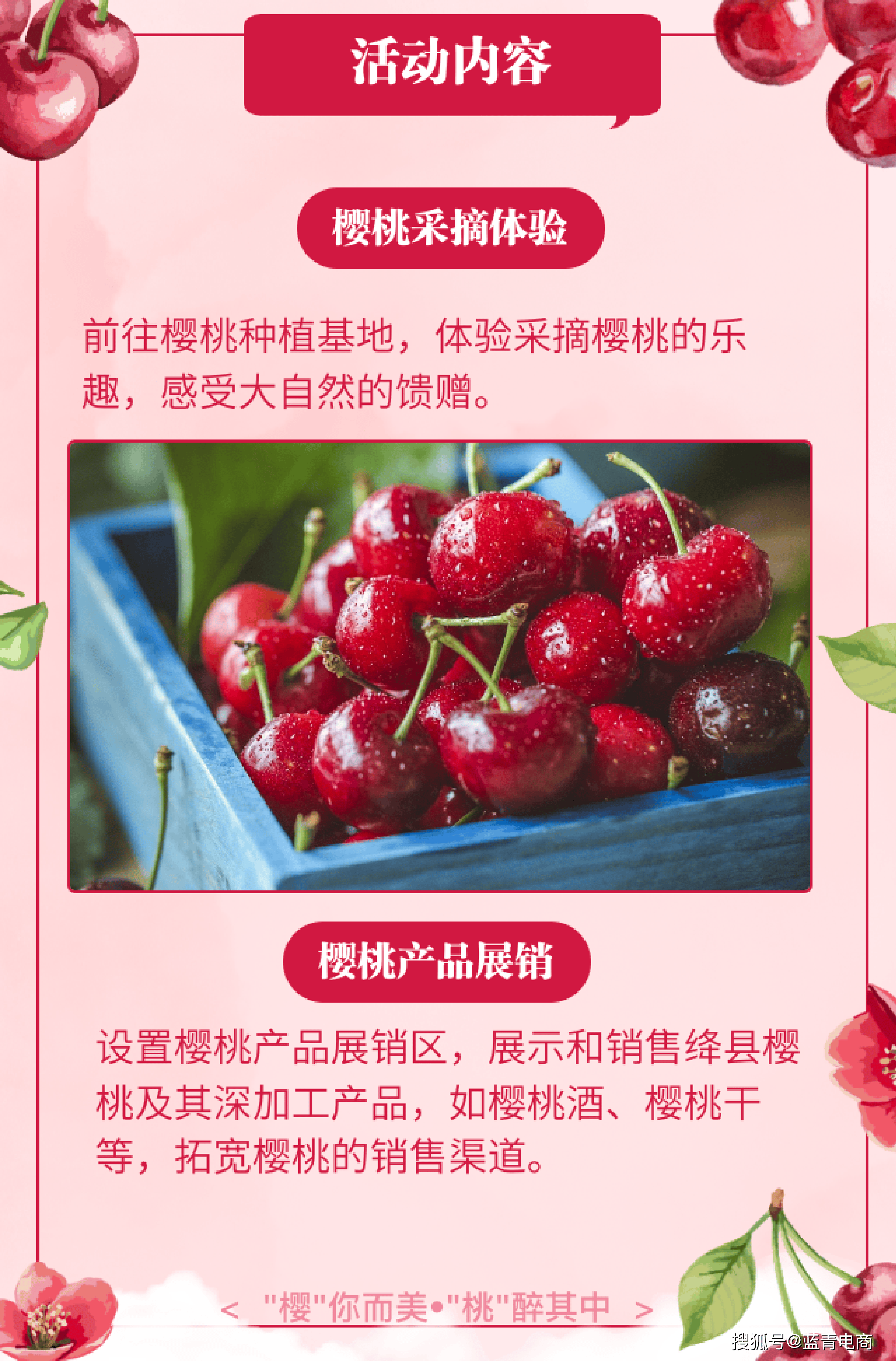 樱桃直播软件下载地址(樱桃直播软件下载地址是什么)