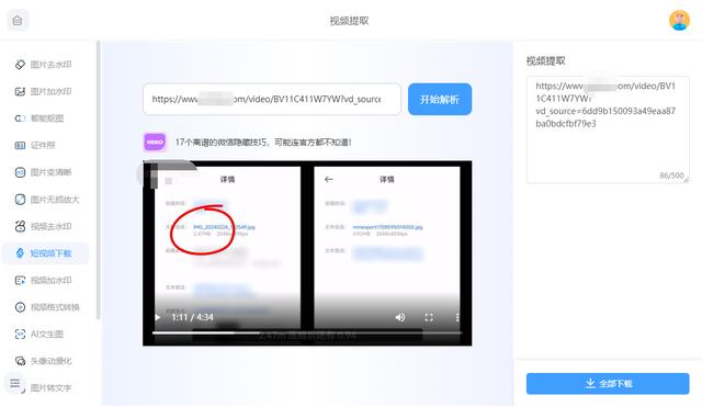 下载视频工具