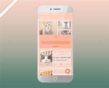猫咪app的下载地址