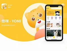 猫咪app的下载地址