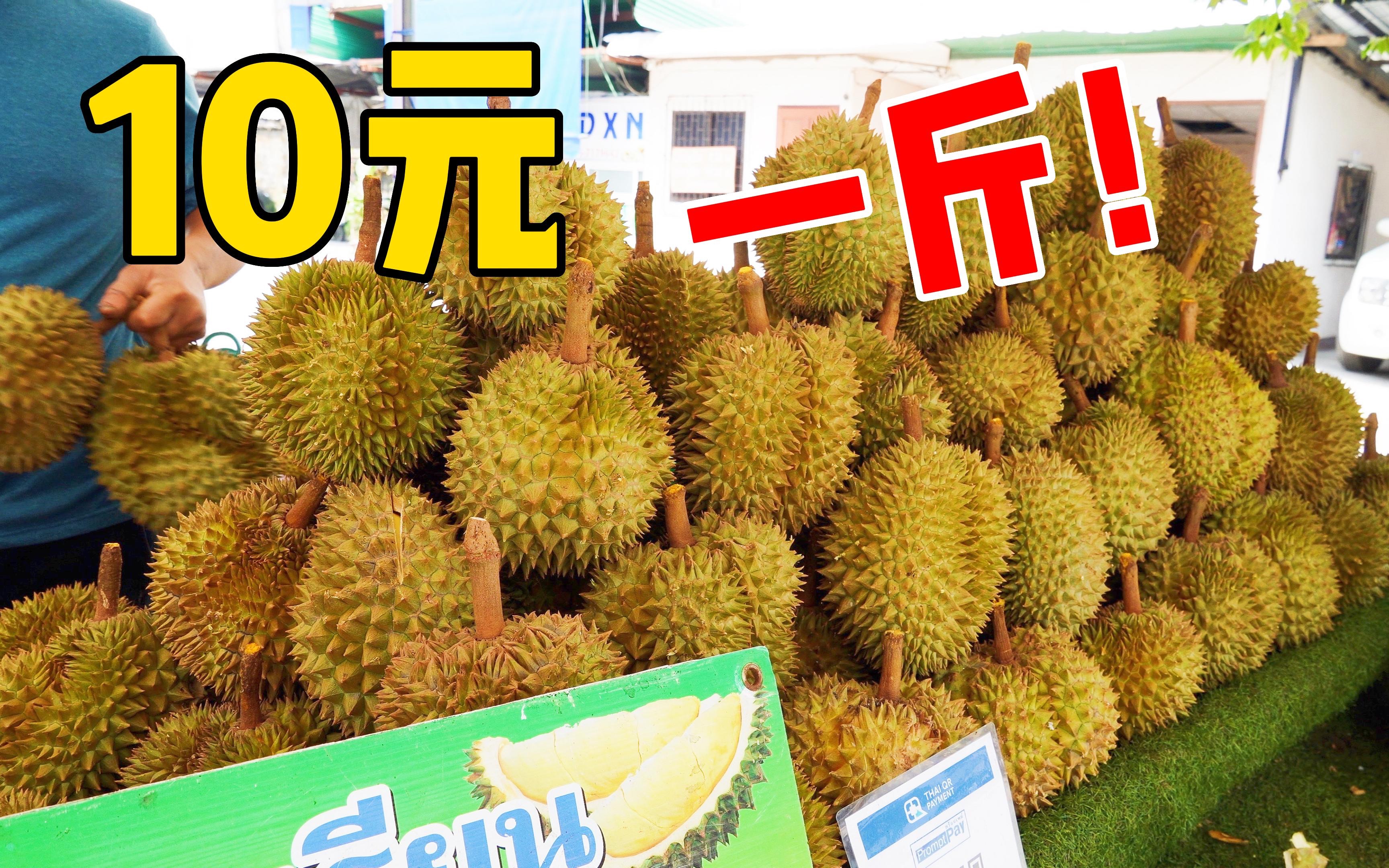 榴莲视频下载安装(榴莲视频 安装下载)