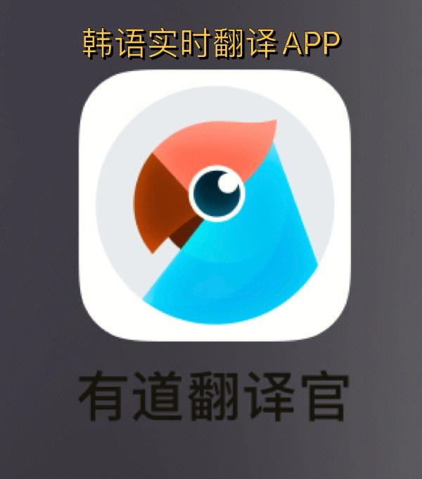 有道翻译软件官方下载(有道翻译官官方下载并安装)