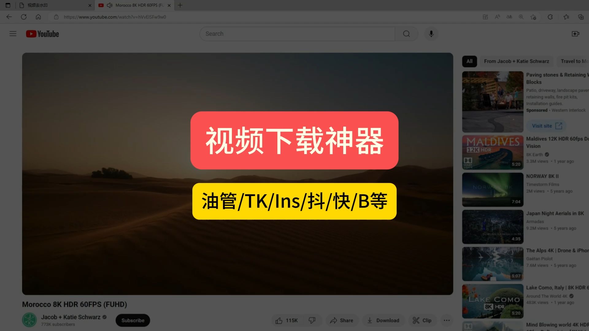 下载网页视频工具