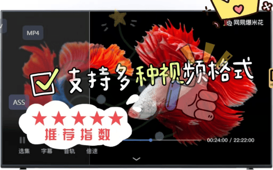 视频下载加速