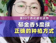球球是道app下载(球球是道app下载旧版)