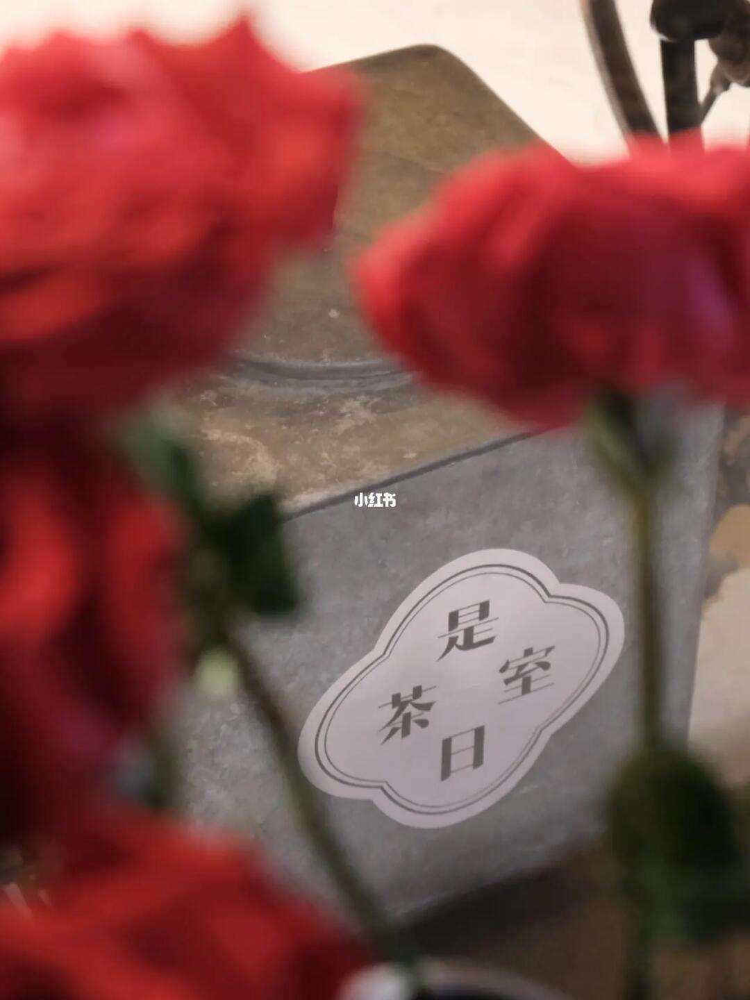 宜心花怎么下载_(宜心宜术文化传媒有限公司)