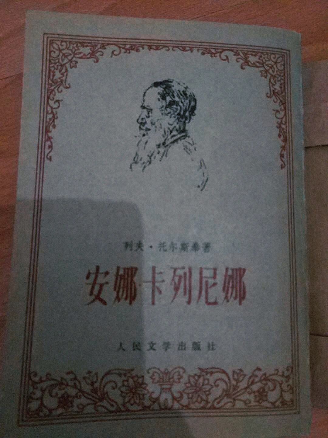 安娜卡列尼娜txt下载(安娜卡列尼娜小说txt免费下载)