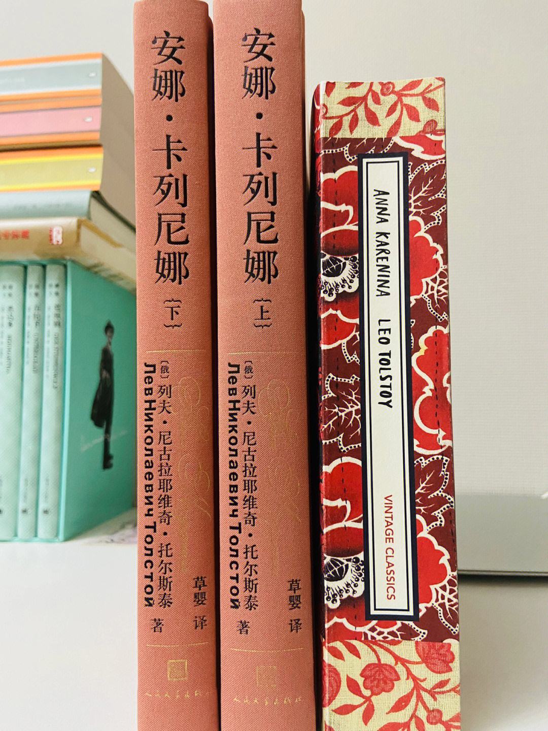 安娜卡列尼娜txt下载(安娜卡列尼娜小说txt免费下载)